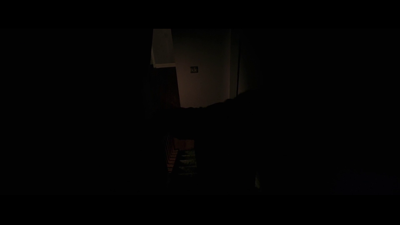 It Follows